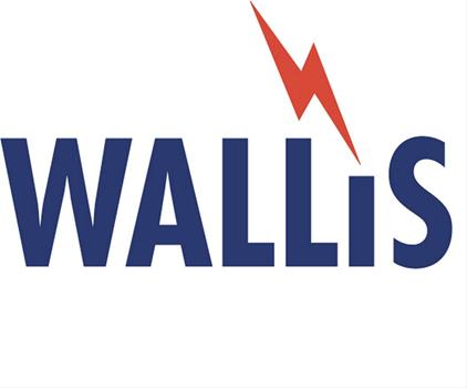 AN Wallis Copper Earth Bars 